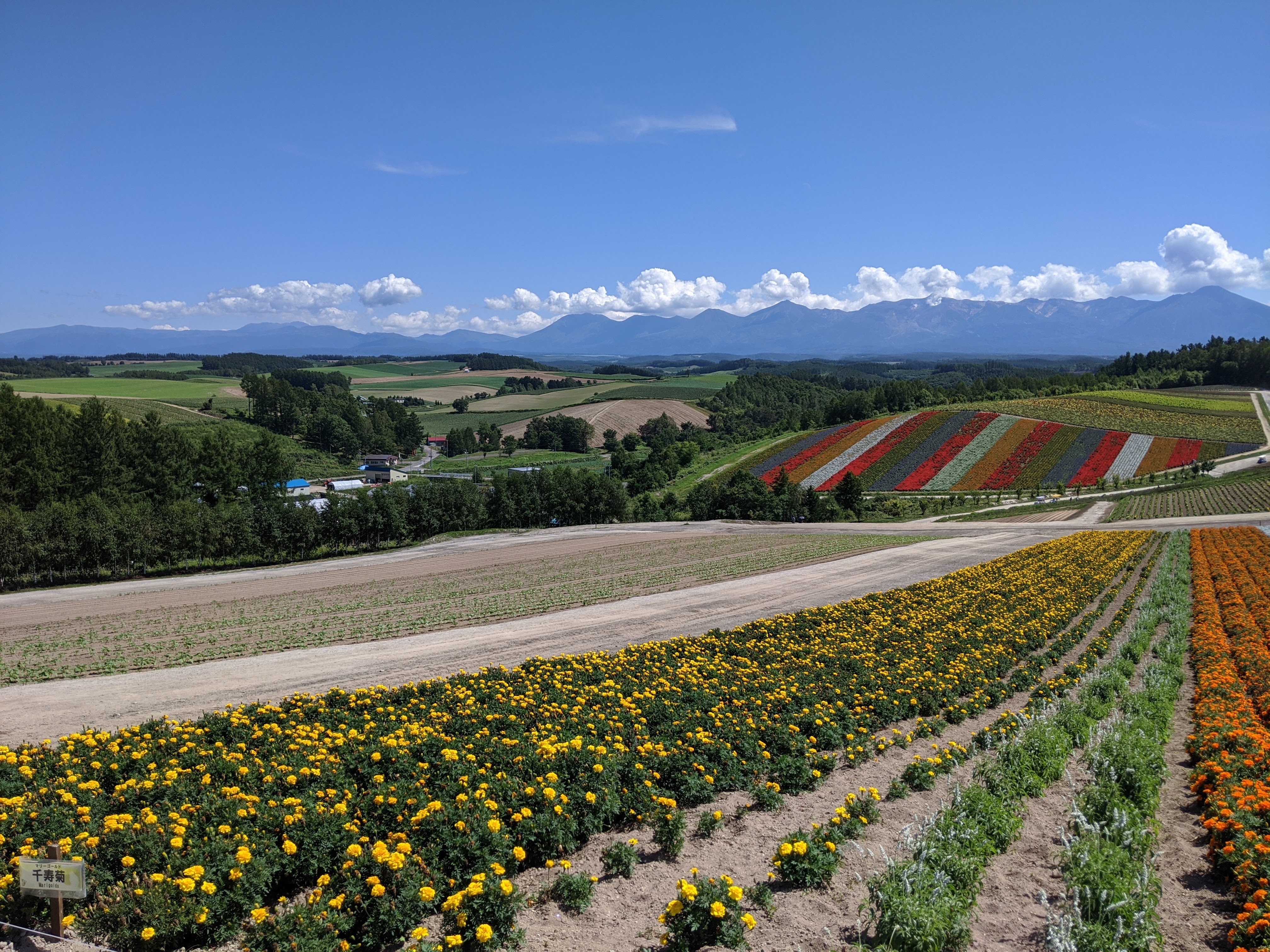 北海道お菓子メーカー紹介①〜六花亭のものがたり〜
