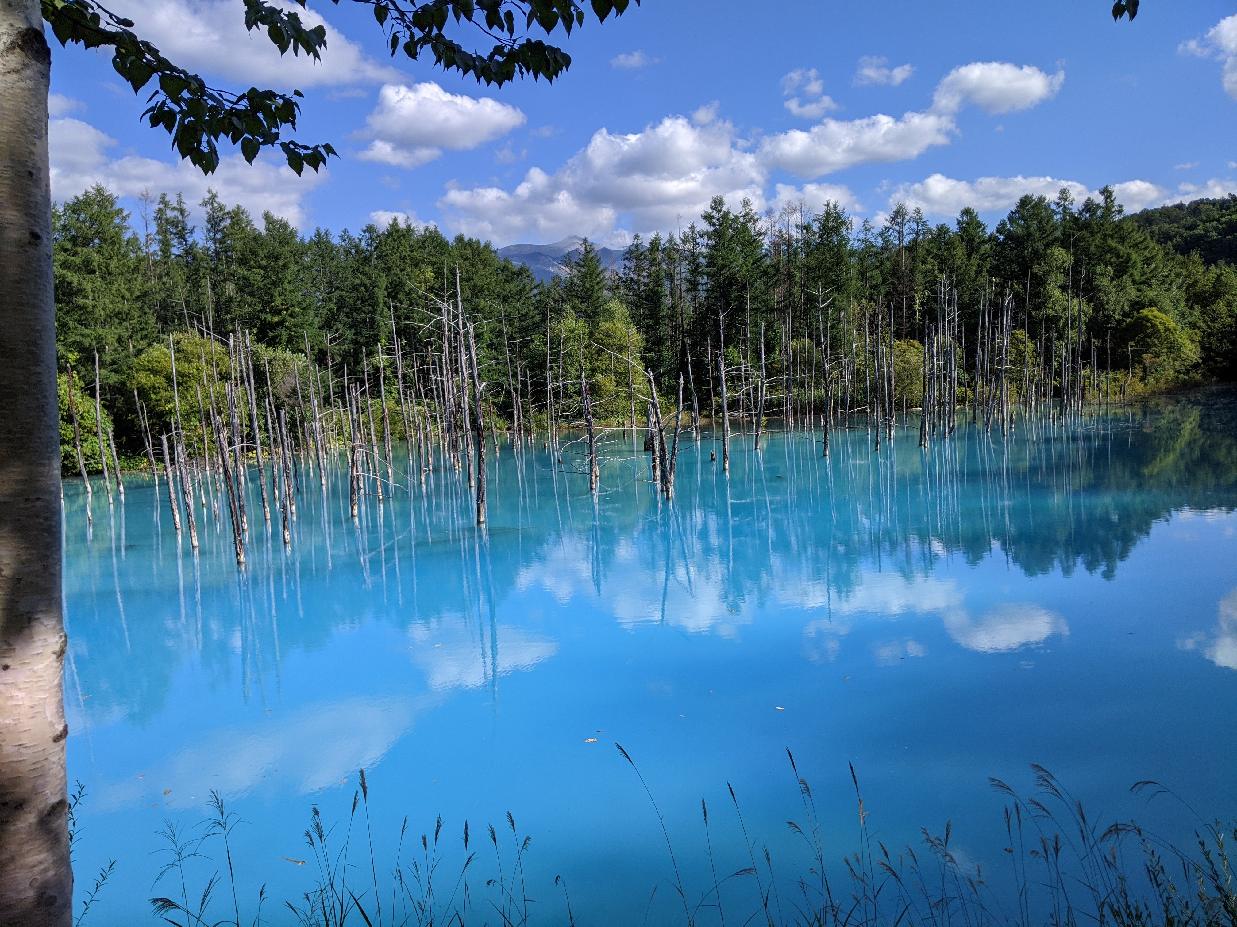 お菓子屋さん巡り①〜札幌・円山エリアの隠れた名店〜
